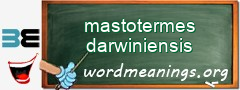 WordMeaning blackboard for mastotermes darwiniensis